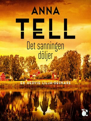 cover image of Det sanningen döljer